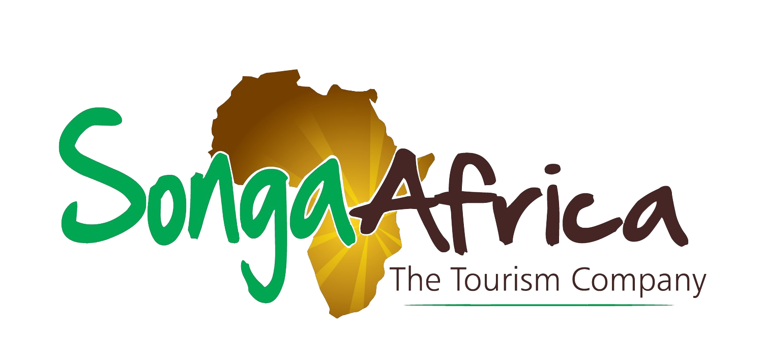 Songa Africa