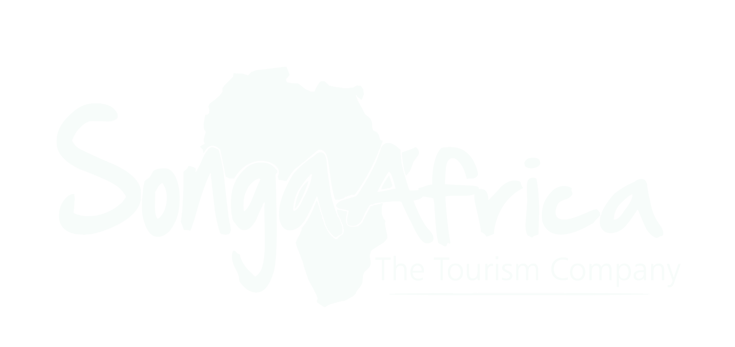 Songa Africa